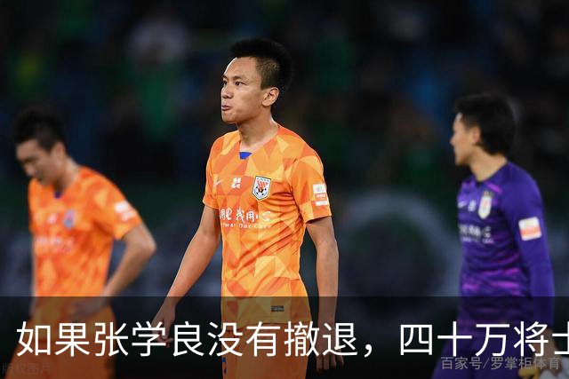 如果张学良没有撤退，四十万将士能抵挡多久？